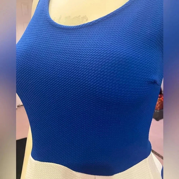 NORDSTROMS SOPRANO BLUE AND WHITE FIT AND FLARE PLEATED SLEEVELESS DRESS SIZE M - Picture 6 of 12